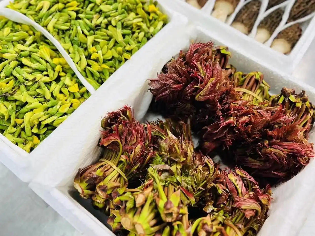 光明日报提醒：春季养生别踩"野菜坑"